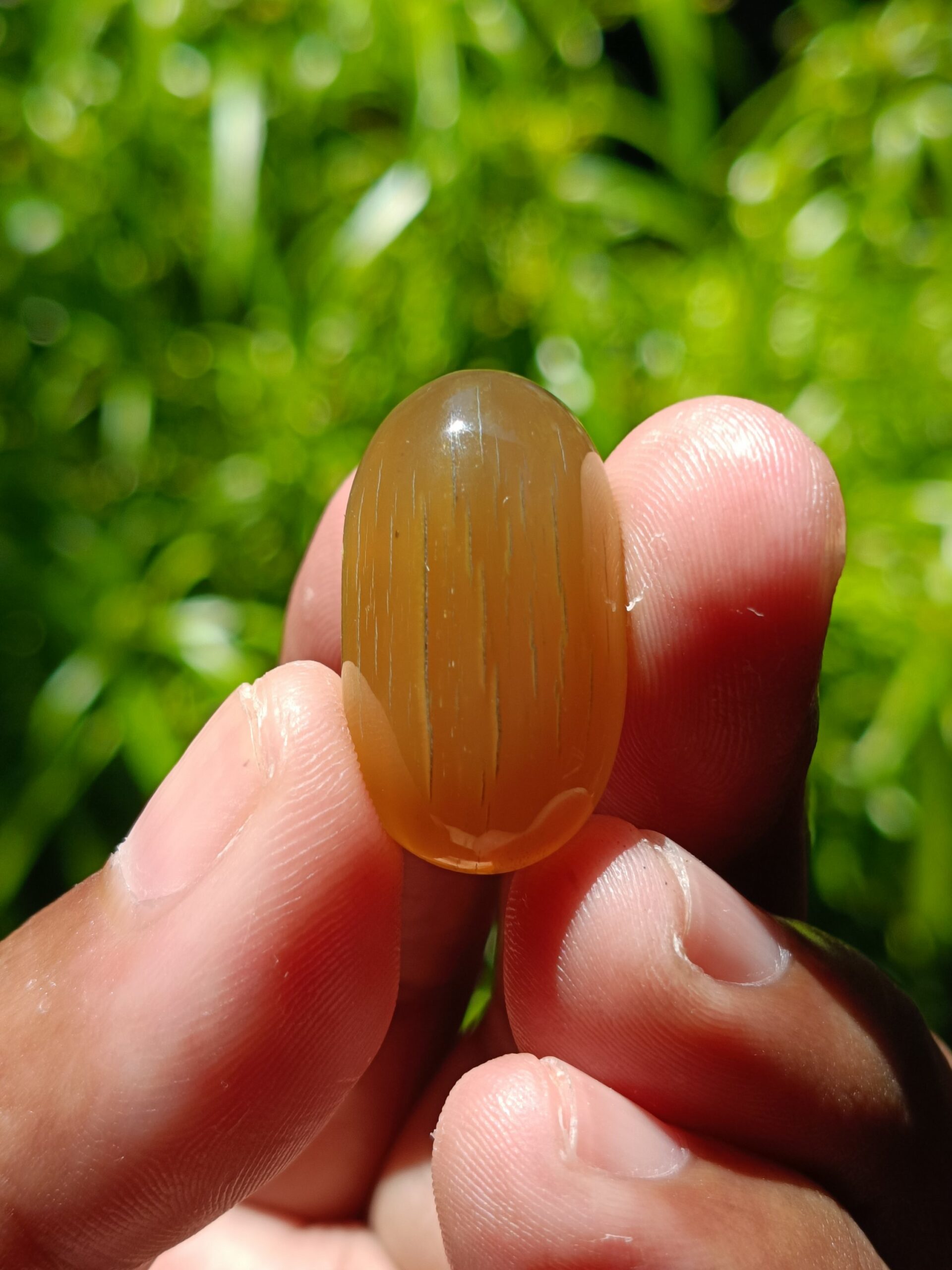 VINTAGE RHINO HORN LOOSESTONE 2,68 Gr 25,5×15×9mm - Gambar 6