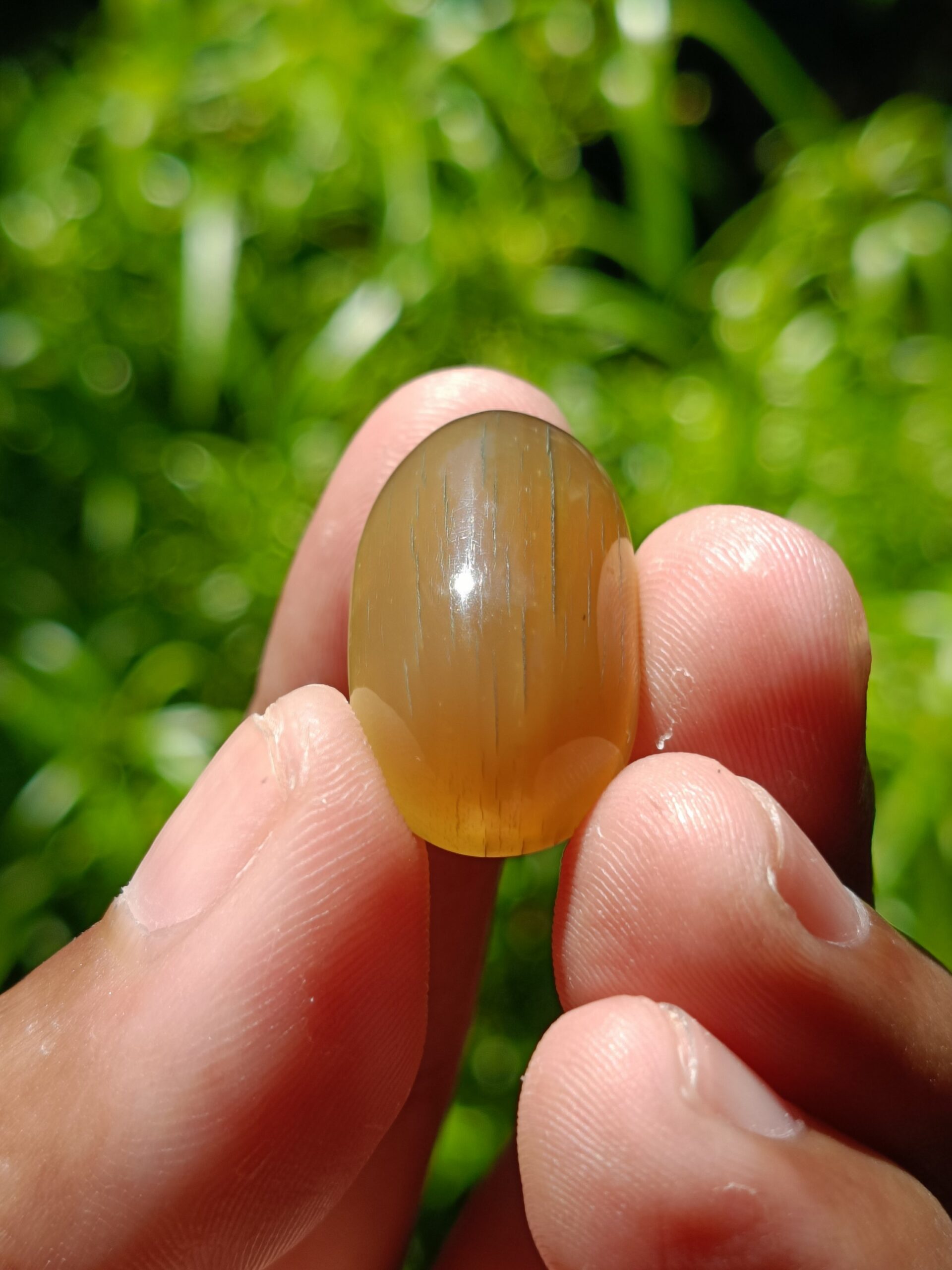VINTAGE RHINO HORN LOOSESTONE 2,68 Gr 25,5×15×9mm - Gambar 11
